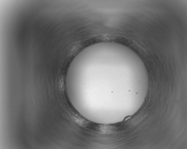 X0000058120336200510071946