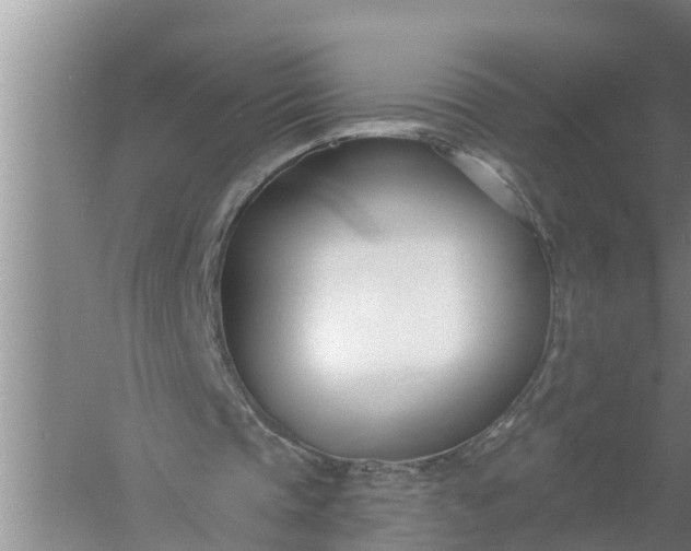 X0000058120337200510071945