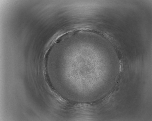 X0000058120339200510071945