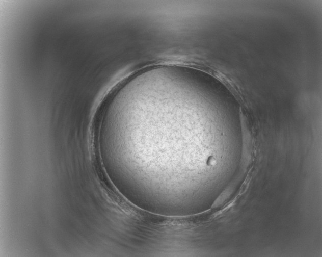 X0000058120343200510071945