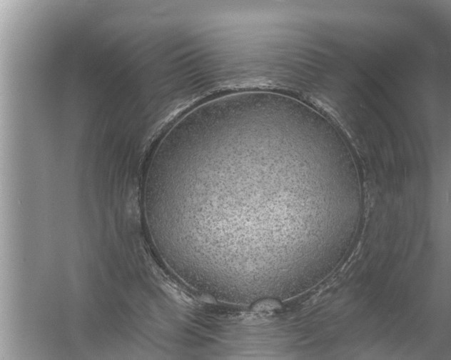 X0000058120345200510071945