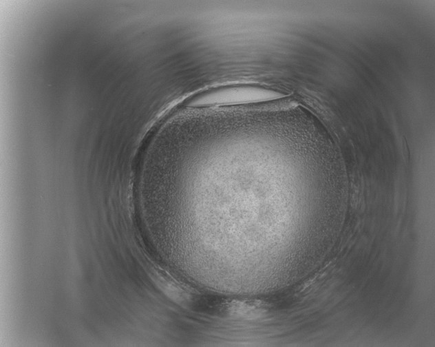 X0000058120346200510071945