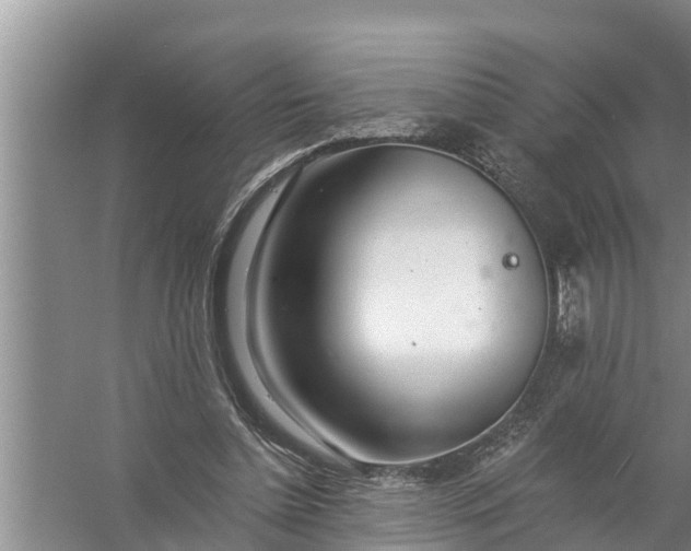 X0000058120348200510071945