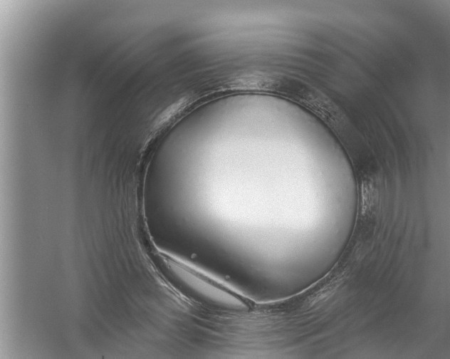 X0000058120349200510071945