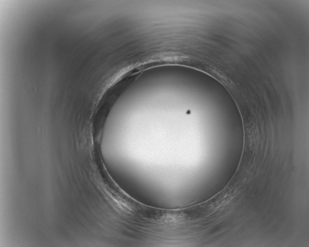 X0000058120350200510071945