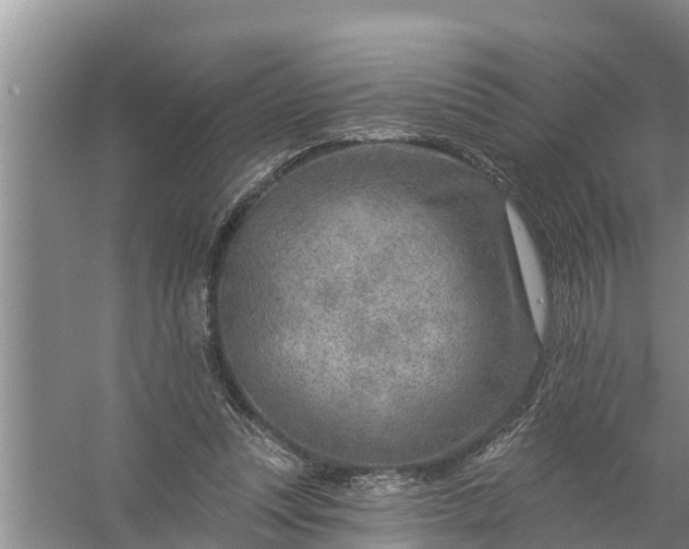 X0000058120351200510071945