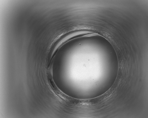 X0000058120352200510071945