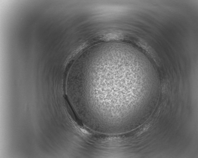 X0000058120353200510071945