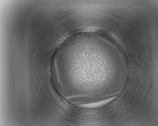 X0000058120354200510071945