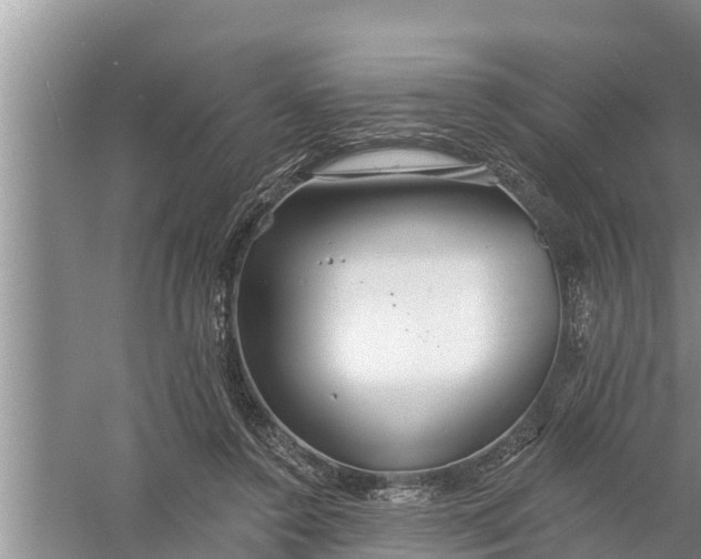 X0000058120356200510071945