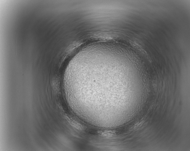 X0000058120359200510071945