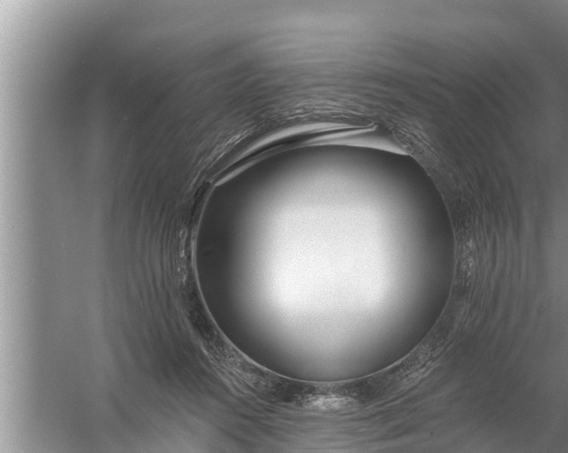 X0000058120360200510071945