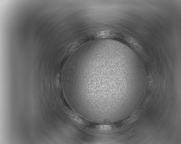 X0000058120361200510071945