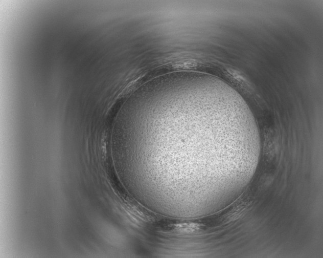 X0000058120363200510071945