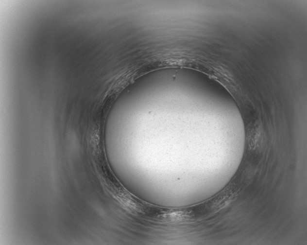 X0000058120365200510071945