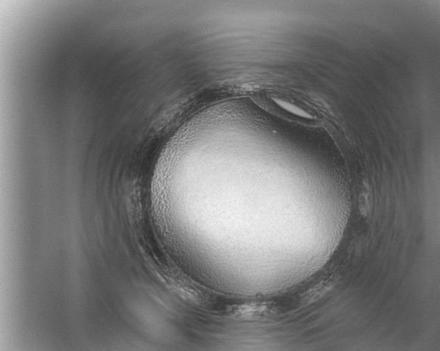 X0000058120366200510071945