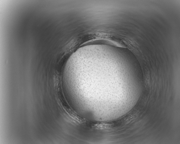 X0000058120367200510071945