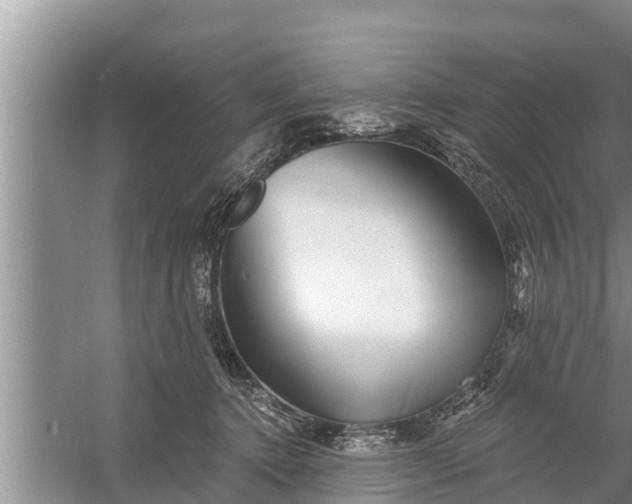 X0000058120368200510071945