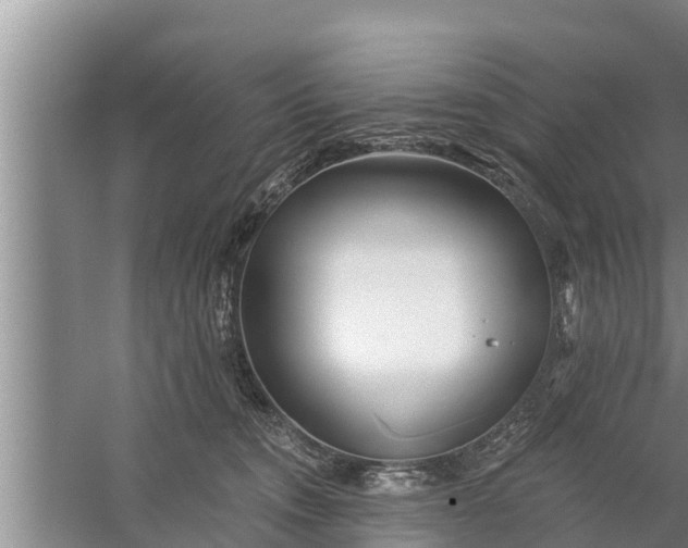 X0000058120372200510071945