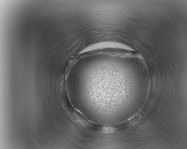 X0000058120376200510071945