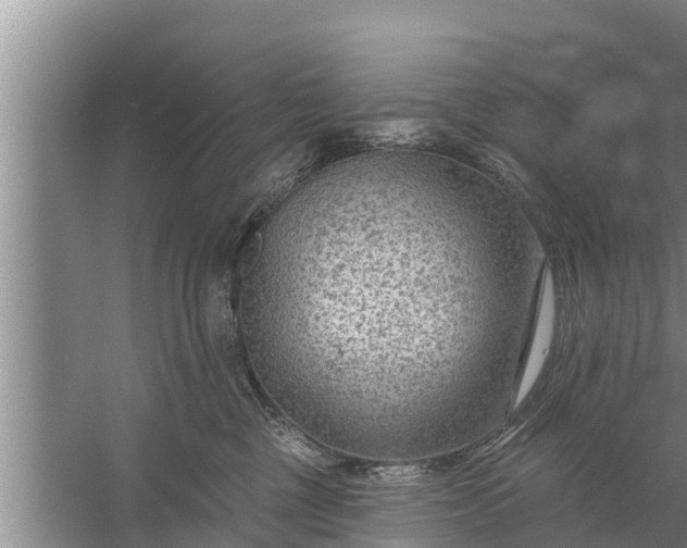 X0000058120377200510071945