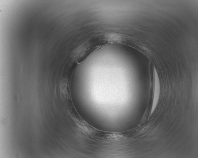 X0000058120379200510071945