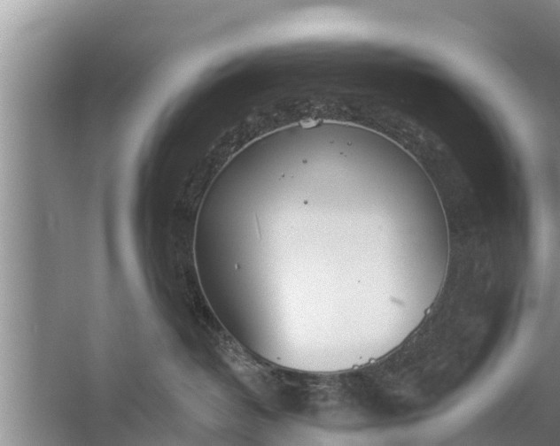 X0000058120382200510071945