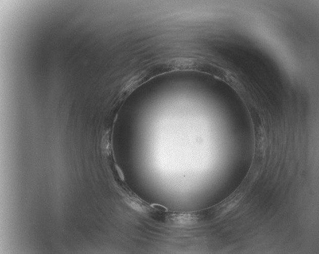 X0000058120383200510071946