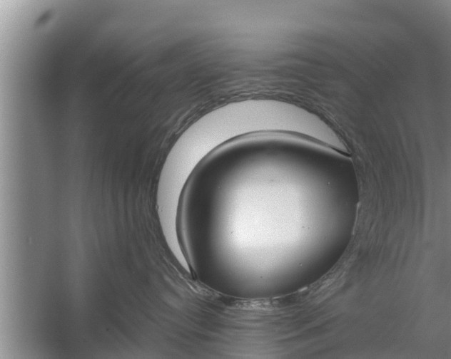 X0000058120384200510071946