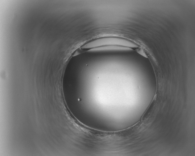 X0000058120385200510071945