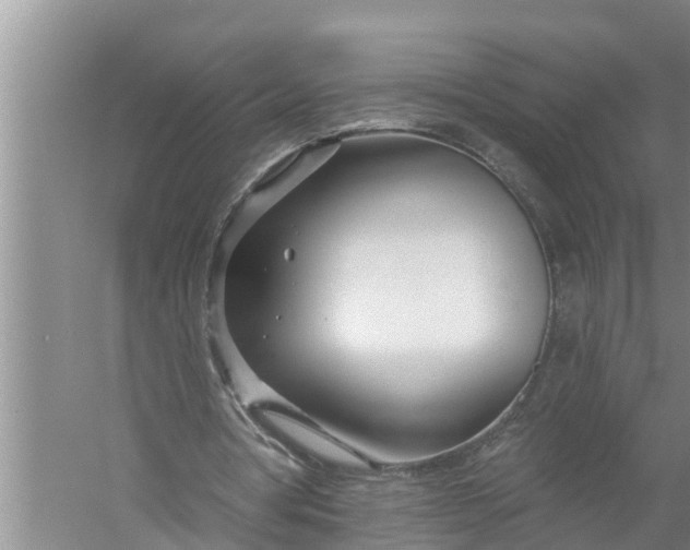 X0000058120386200510071945