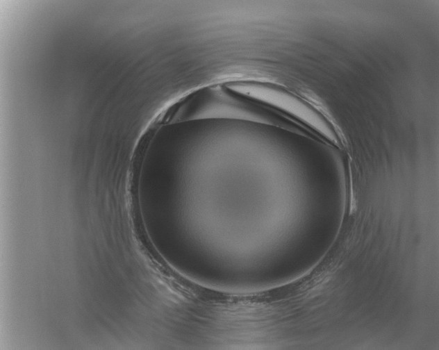 X0000058120387200510071945