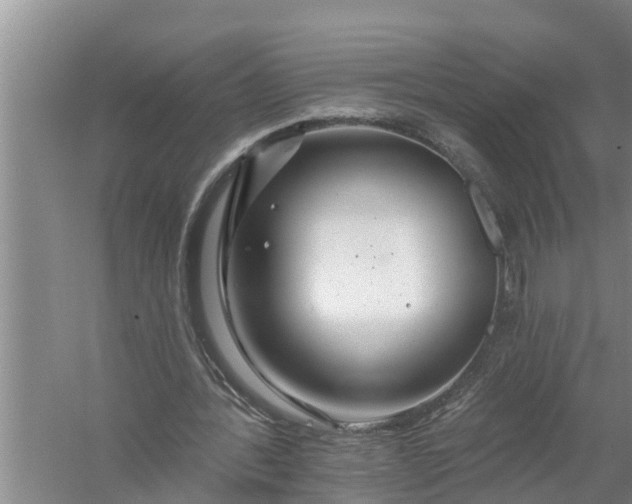 X0000058120388200510071945