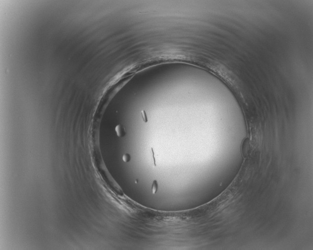 X0000058120390200510071945