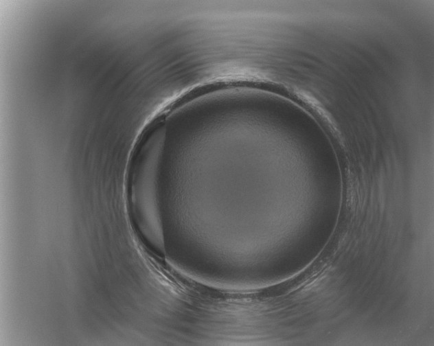 X0000058120391200510071945