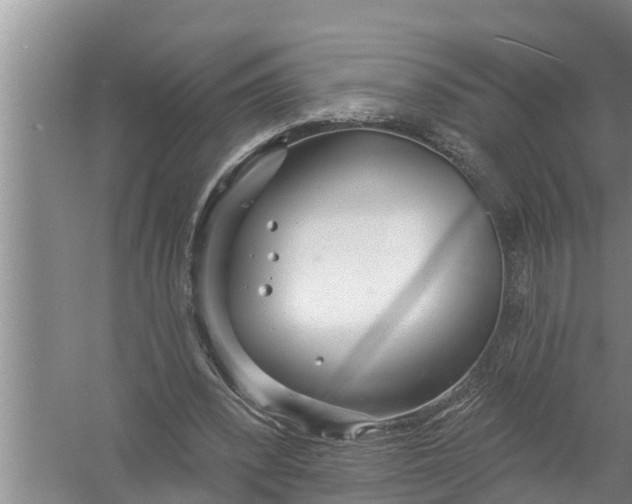 X0000058120392200510071945