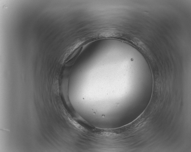 X0000058120393200510071945