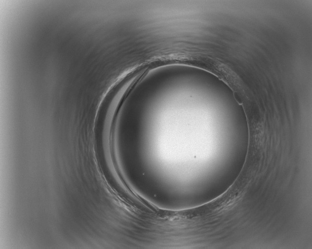 X0000058120395200510071945