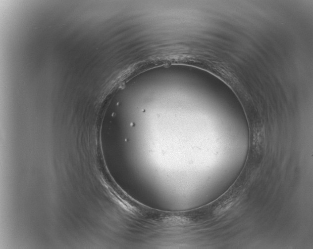 X0000058120397200510071945