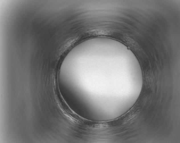 X0000058120398200510071944