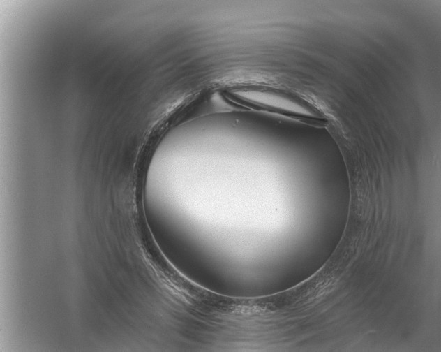 X0000058120399200510071944