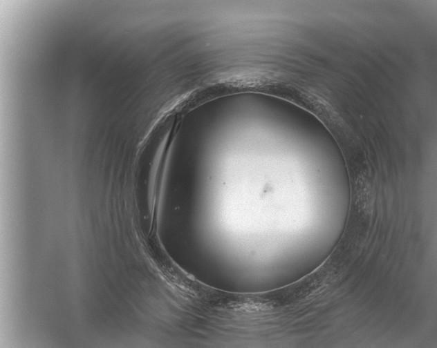 X0000058120400200510071944