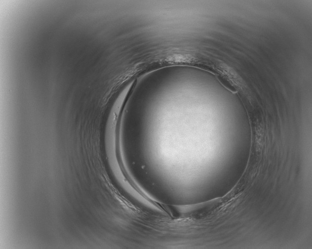 X0000058120401200510071944