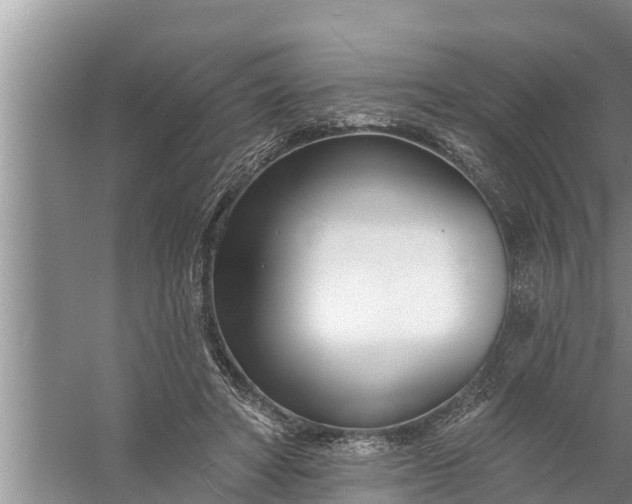 X0000058120402200510071944