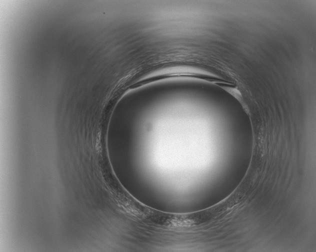 X0000058120403200510071944