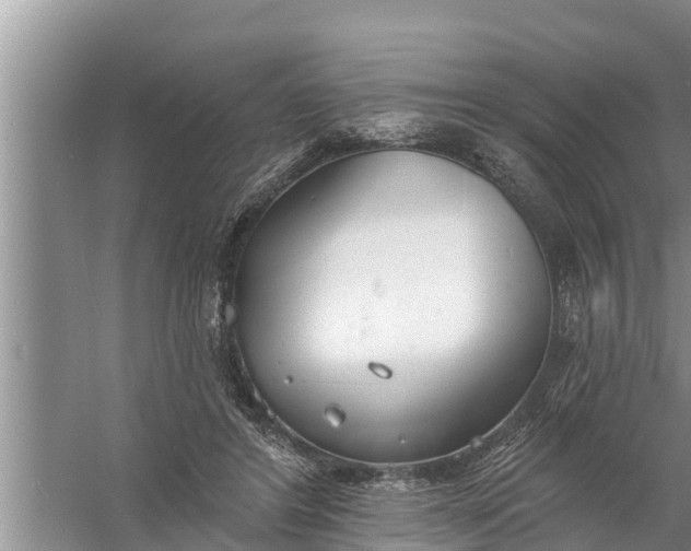 X0000058120404200510071944