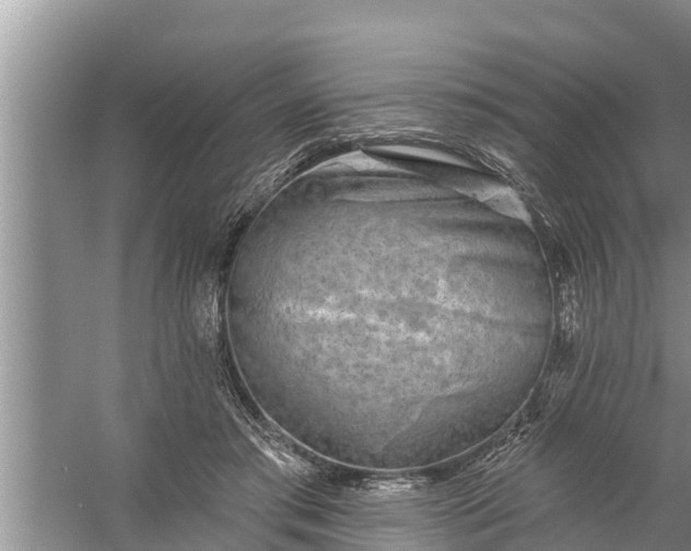 X0000058120405200510071944