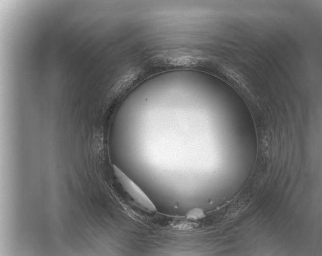 X0000058120407200510071944