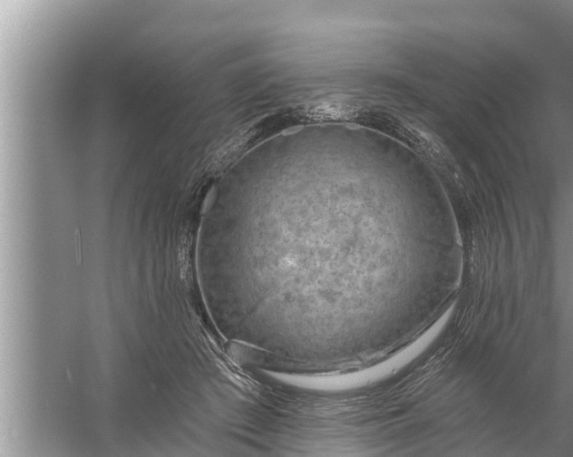 X0000058120409200510071944