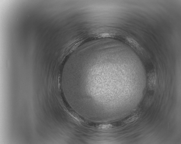 X0000058120410200510071944